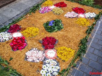 Ковры из цветов в Ллорет-де-Мар, Les Catifes de Flors del Corpus a Lloret de Mar