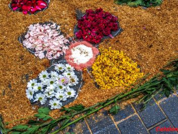 Ковры из цветов в Ллорет-де-Мар, Les Catifes de Flors del Corpus a Lloret de Mar