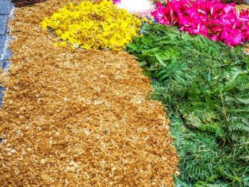 Ковры из цветов в Ллорет-де-Мар, Les Catifes de Flors del Corpus a Lloret de Mar