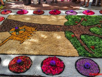 Ковры из цветов в Ллорет-де-Мар, Les Catifes de Flors del Corpus a Lloret de Mar