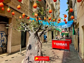 Улица Сант Пере Мартир (Carrer de Sant Pere Màrtir) - Феста Майор де Грасиа 2025 (Festa Major de Gràcia 2025)
