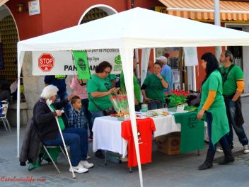 Сант Джорди или День Святого Георгия в Бланесе/El Día de Sant Jordi (Каталония/Catalonia)