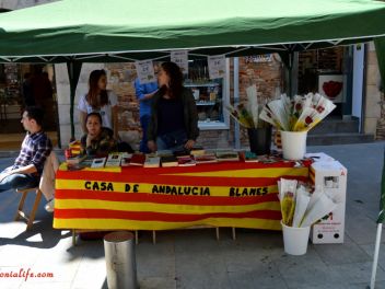 Сант Джорди или День Святого Георгия в Бланесе/El Día de Sant Jordi (Каталония/Catalonia)
