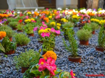 63-ый Фестиваль цветов в Жироне, 2018 / 63ª edició de Girona, Temps de Flors (Tiempo de Flores), 2018