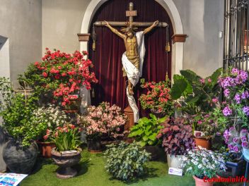 63-ый Фестиваль цветов в Жироне, 2018 / 63ª edició de Girona, Temps de Flors (Tiempo de Flores), 2018