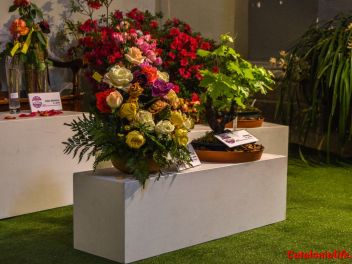 63-ый Фестиваль цветов в Жироне, 2018 / 63ª edició de Girona, Temps de Flors (Tiempo de Flores), 2018