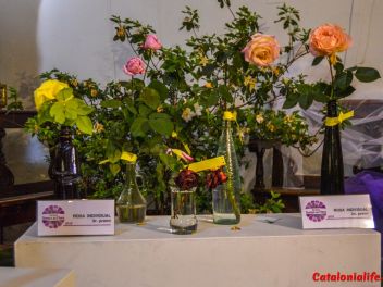 63-ый Фестиваль цветов в Жироне, 2018 / 63ª edició de Girona, Temps de Flors (Tiempo de Flores), 2018