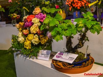 63-ый Фестиваль цветов в Жироне, 2018 / 63ª edició de Girona, Temps de Flors (Tiempo de Flores), 2018
