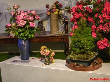 63-ый Фестиваль цветов в Жироне, 2018 / 63ª edició de Girona, Temps de Flors (Tiempo de Flores), 2018
