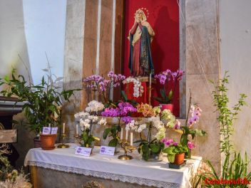 63-ый Фестиваль цветов в Жироне, 2018 / 63ª edició de Girona, Temps de Flors (Tiempo de Flores), 2018
