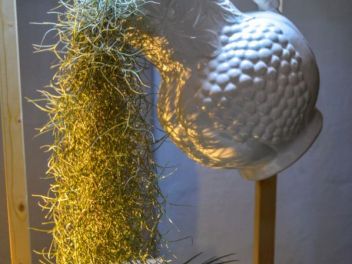 63-ый Фестиваль цветов в Жироне, 2018 / 63ª edició de Girona, Temps de Flors (Tiempo de Flores), 2018