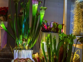 63-ый Фестиваль цветов в Жироне, 2018 / 63ª edició de Girona, Temps de Flors (Tiempo de Flores), 2018