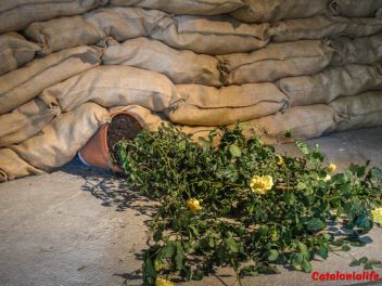 63-ый Фестиваль цветов в Жироне, 2018 / 63ª edició de Girona, Temps de Flors (Tiempo de Flores), 2018