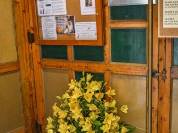 63-ый Фестиваль цветов в Жироне, 2018 / 63ª edició de Girona, Temps de Flors (Tiempo de Flores), 2018