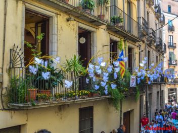 63-ый Фестиваль цветов в Жироне, 2018 / 63ª edició de Girona, Temps de Flors (Tiempo de Flores), 2018