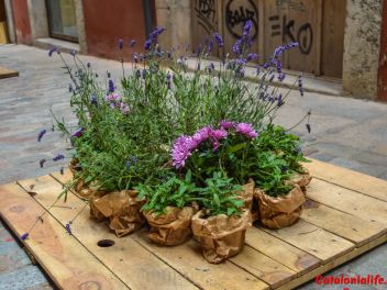 63-ый Фестиваль цветов в Жироне, 2018 / 63ª edició de Girona, Temps de Flors (Tiempo de Flores), 2018