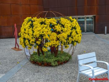 63-ый Фестиваль цветов в Жироне, 2018 / 63ª edició de Girona, Temps de Flors (Tiempo de Flores), 2018