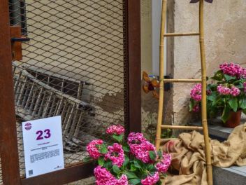 63-ый Фестиваль цветов в Жироне, 2018 / 63ª edició de Girona, Temps de Flors (Tiempo de Flores), 2018