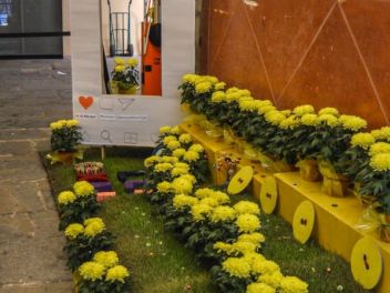 63-ый Фестиваль цветов в Жироне, 2018 / 63ª edició de Girona, Temps de Flors (Tiempo de Flores), 2018