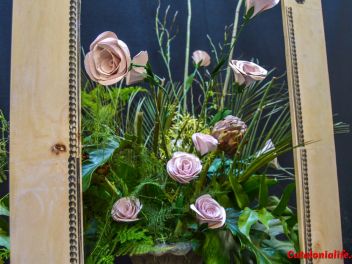 63-ый Фестиваль цветов в Жироне, 2018 / 63ª edició de Girona, Temps de Flors (Tiempo de Flores), 2018
