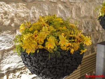 63-ый Фестиваль цветов в Жироне, 2018 / 63ª edició de Girona, Temps de Flors (Tiempo de Flores), 2018