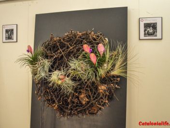 63-ый Фестиваль цветов в Жироне, 2018 / 63ª edició de Girona, Temps de Flors (Tiempo de Flores), 2018