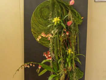63-ый Фестиваль цветов в Жироне, 2018 / 63ª edició de Girona, Temps de Flors (Tiempo de Flores), 2018
