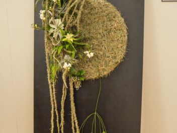 63-ый Фестиваль цветов в Жироне, 2018 / 63ª edició de Girona, Temps de Flors (Tiempo de Flores), 2018