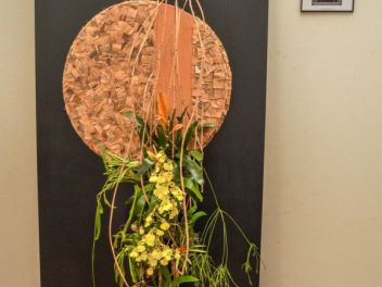 63-ый Фестиваль цветов в Жироне, 2018 / 63ª edició de Girona, Temps de Flors (Tiempo de Flores), 2018