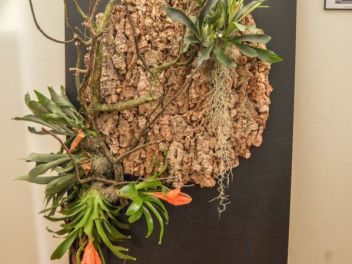 63-ый Фестиваль цветов в Жироне, 2018 / 63ª edició de Girona, Temps de Flors (Tiempo de Flores), 2018