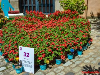 63-ый Фестиваль цветов в Жироне, 2018 / 63ª edició de Girona, Temps de Flors (Tiempo de Flores), 2018