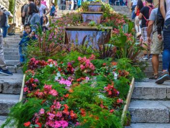 63-ый Фестиваль цветов в Жироне, 2018 / 63ª edició de Girona, Temps de Flors (Tiempo de Flores), 2018