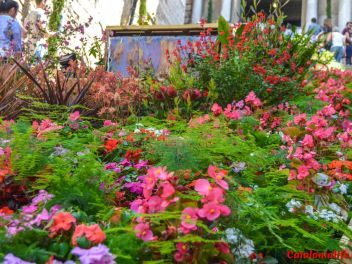 63-ый Фестиваль цветов в Жироне, 2018 / 63ª edició de Girona, Temps de Flors (Tiempo de Flores), 2018