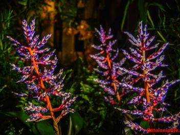 63-ый Фестиваль цветов в Жироне, 2018 / 63ª edició de Girona, Temps de Flors (Tiempo de Flores), 2018