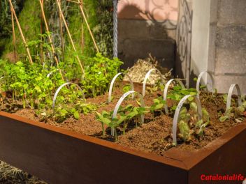 63-ый Фестиваль цветов в Жироне, 2018 / 63ª edició de Girona, Temps de Flors (Tiempo de Flores), 2018