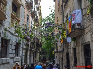 63-ый Фестиваль цветов в Жироне, 2018 / 63ª edició de Girona, Temps de Flors (Tiempo de Flores), 2018
