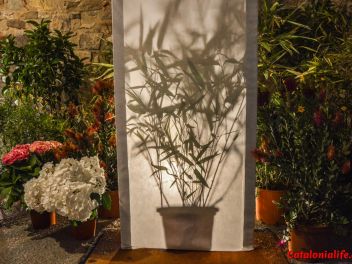 63-ый Фестиваль цветов в Жироне, 2018 / 63ª edició de Girona, Temps de Flors (Tiempo de Flores), 2018