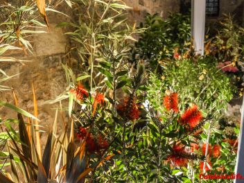 63-ый Фестиваль цветов в Жироне, 2018 / 63ª edició de Girona, Temps de Flors (Tiempo de Flores), 2018