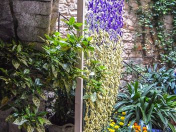 63-ый Фестиваль цветов в Жироне, 2018 / 63ª edició de Girona, Temps de Flors (Tiempo de Flores), 2018