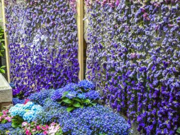 63-ый Фестиваль цветов в Жироне, 2018 / 63ª edició de Girona, Temps de Flors (Tiempo de Flores), 2018