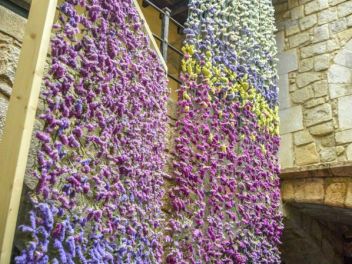 63-ый Фестиваль цветов в Жироне, 2018 / 63ª edició de Girona, Temps de Flors (Tiempo de Flores), 2018