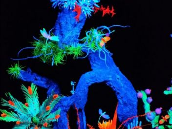 63-ый Фестиваль цветов в Жироне, 2018 / 63ª edició de Girona, Temps de Flors (Tiempo de Flores), 2018