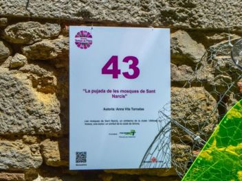63-ый Фестиваль цветов в Жироне, 2018 / 63ª edició de Girona, Temps de Flors (Tiempo de Flores), 2018