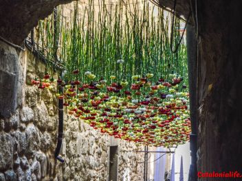 63-ый Фестиваль цветов в Жироне, 2018 / 63ª edició de Girona, Temps de Flors (Tiempo de Flores), 2018