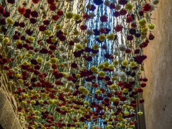 63-ый Фестиваль цветов в Жироне, 2018 / 63ª edició de Girona, Temps de Flors (Tiempo de Flores), 2018