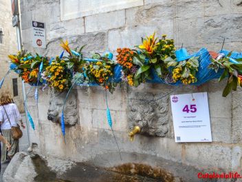 63-ый Фестиваль цветов в Жироне, 2018 / 63ª edició de Girona, Temps de Flors (Tiempo de Flores), 2018