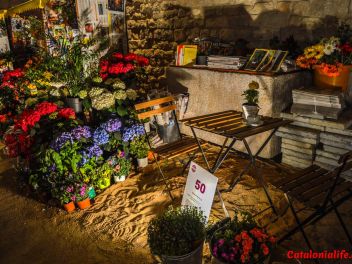 63-ый Фестиваль цветов в Жироне, 2018 / 63ª edició de Girona, Temps de Flors (Tiempo de Flores), 2018