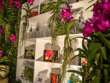 63-ый Фестиваль цветов в Жироне, 2018 / 63ª edició de Girona, Temps de Flors (Tiempo de Flores), 2018