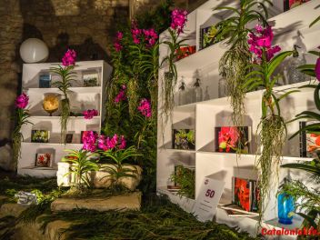 63-ый Фестиваль цветов в Жироне, 2018 / 63ª edició de Girona, Temps de Flors (Tiempo de Flores), 2018