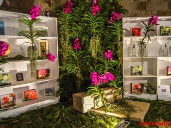 63-ый Фестиваль цветов в Жироне, 2018 / 63ª edició de Girona, Temps de Flors (Tiempo de Flores), 2018
